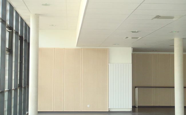 Faux plafond – Crous Rockfeller