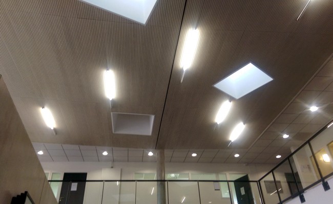 Faux plafond IUT Bron